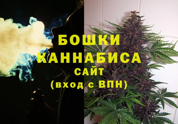 мяу мяу мука Билибино