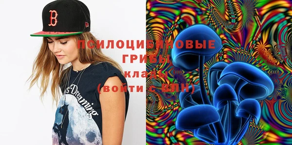 СК Белокуриха