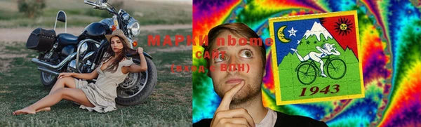 СК Белокуриха