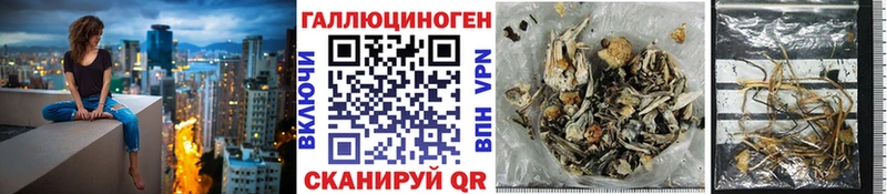 Псилоцибиновые грибы MAGIC MUSHROOMS  Гудермес 