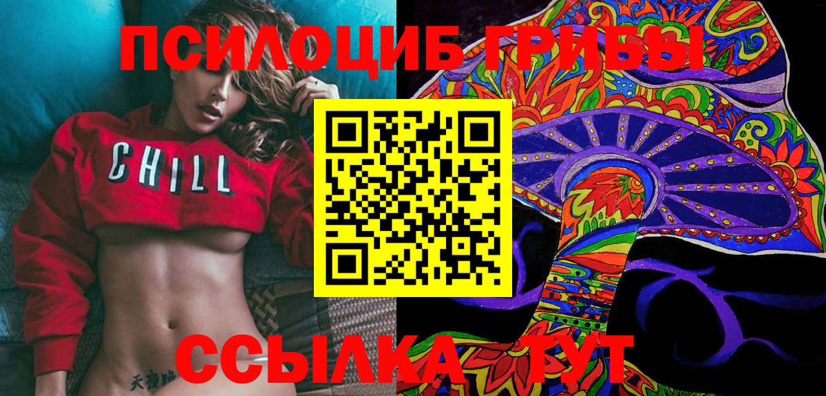 Гудермес  Галлюциногенные грибы Cubensis  купить наркотики цена  Вход с VPN 